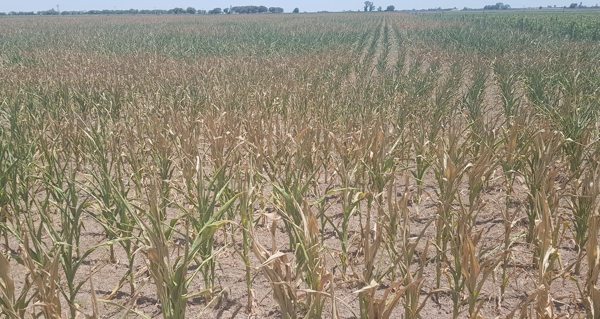 Sequ A La Provincia De Santa Fe Prorrog La Emergencia Agropecuaria