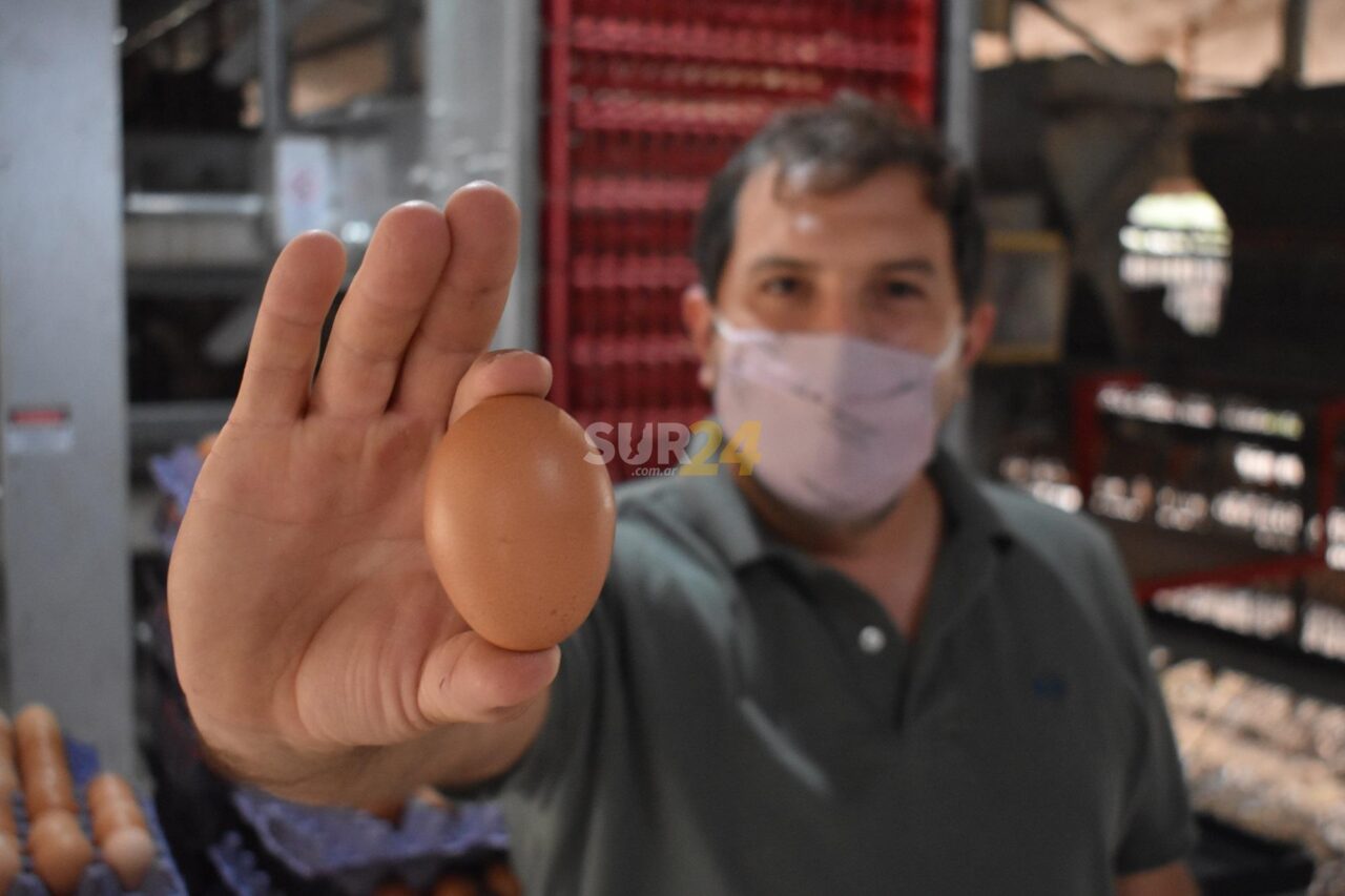 En Carreras obtienen casi 840 mil huevos mensuales