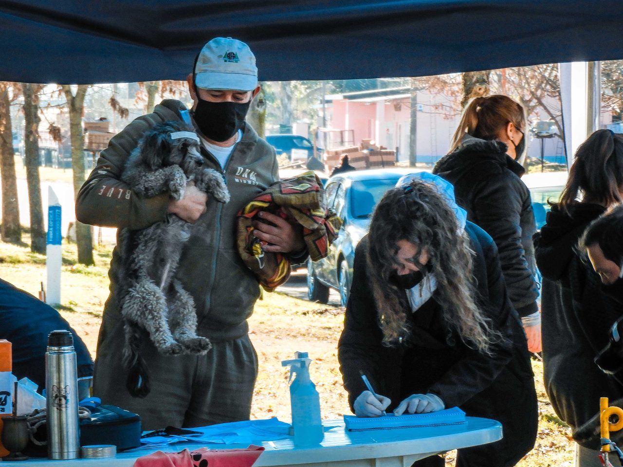 Castración de perros y gatos en Teodelina