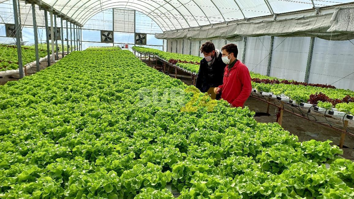 La provincia promueve el crecimiento del sector frutihortícola