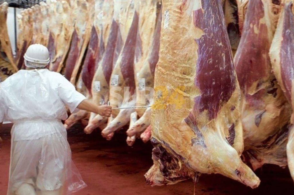 Argentina pierde U$ 100 millones por día por la restricción a las exportaciones de carne