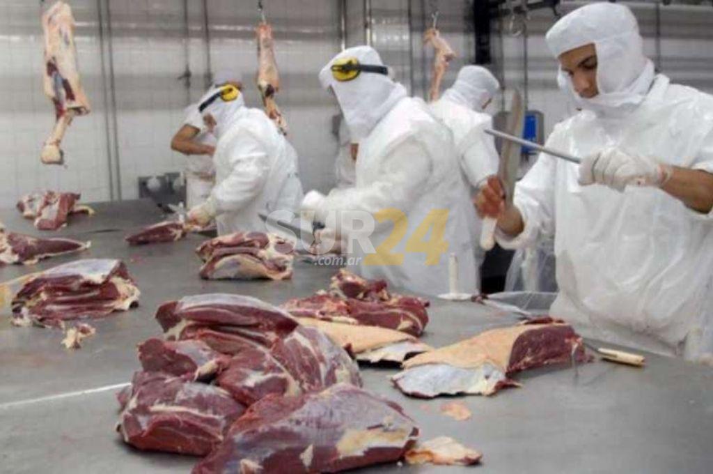 El Gobierno extiende dos meses más el cepo a la exportación de carne