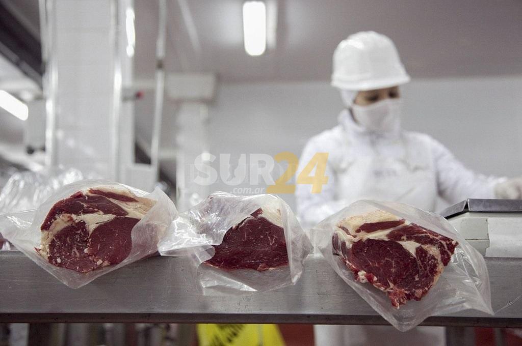 Bordet, Perotti y Ziliotto pidieron a la Nación que revea el cepo a la exportación de carne