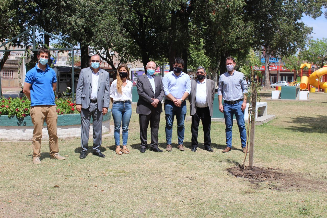 Cooperación Seguros aportó 95 árboles a la ciudad que la vio crecer