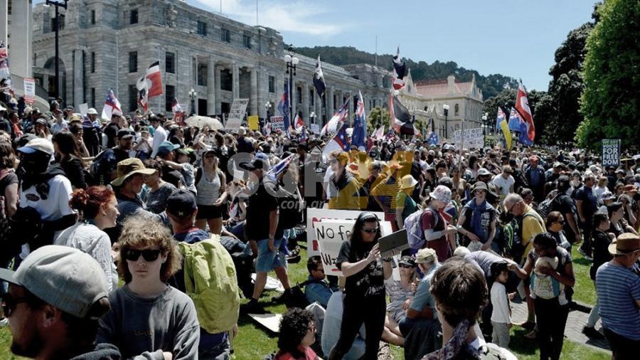 Antivacunas protestaron frente al parlamento de Nueva Zelanda