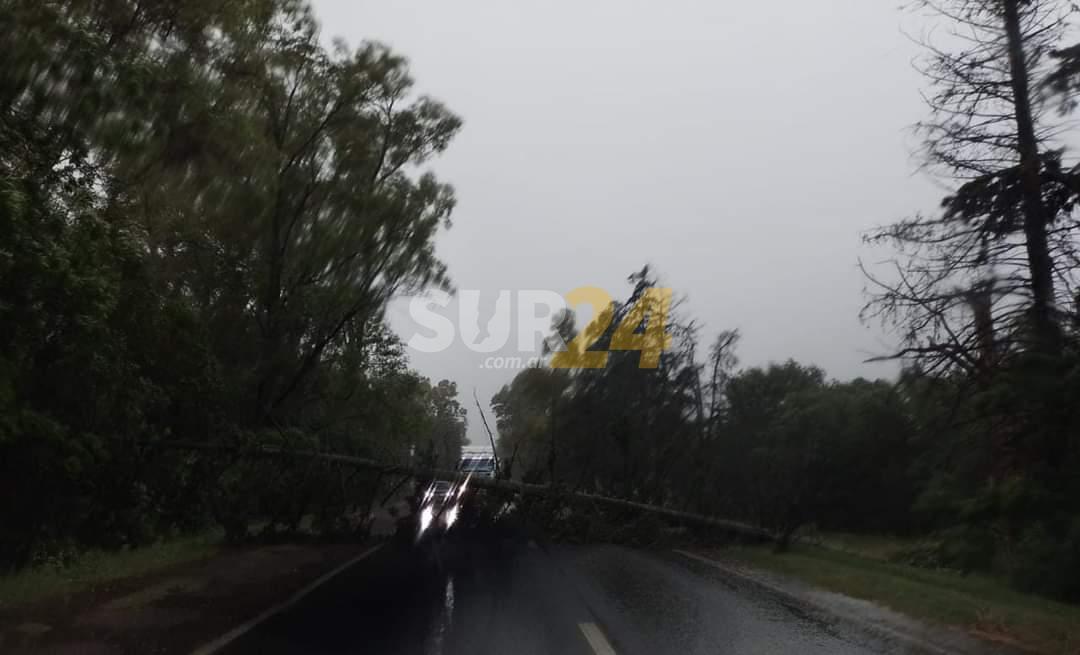La tormenta se hace sentir en la región: la ruta 33 está cortada a la altura de Rufino