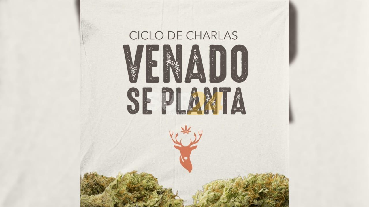 “Venado se Planta”: se viene el primer ciclo de charlas y talleres sobre cannabis medicinal