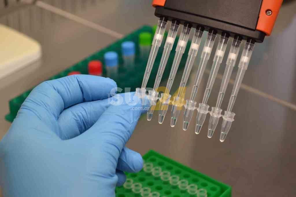 Científicos rosarinos que diseñaron test covid ahora van por el dengue y la tuberculosis