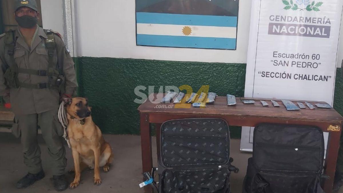 Viajaban a Córdoba con 4 kilos de cocaína y un perro entrenado los descubrió