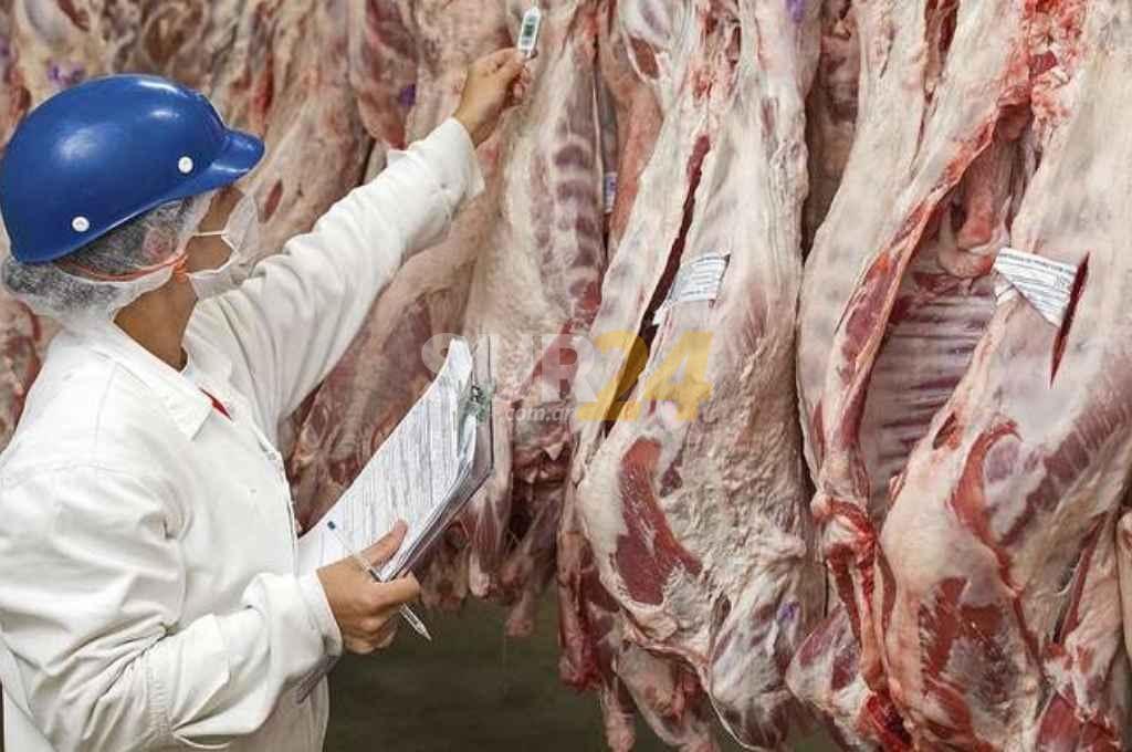Nuevo acuerdo de carne: cinco cortes parrilleros a precios inferiores al mercado para las Fiestas