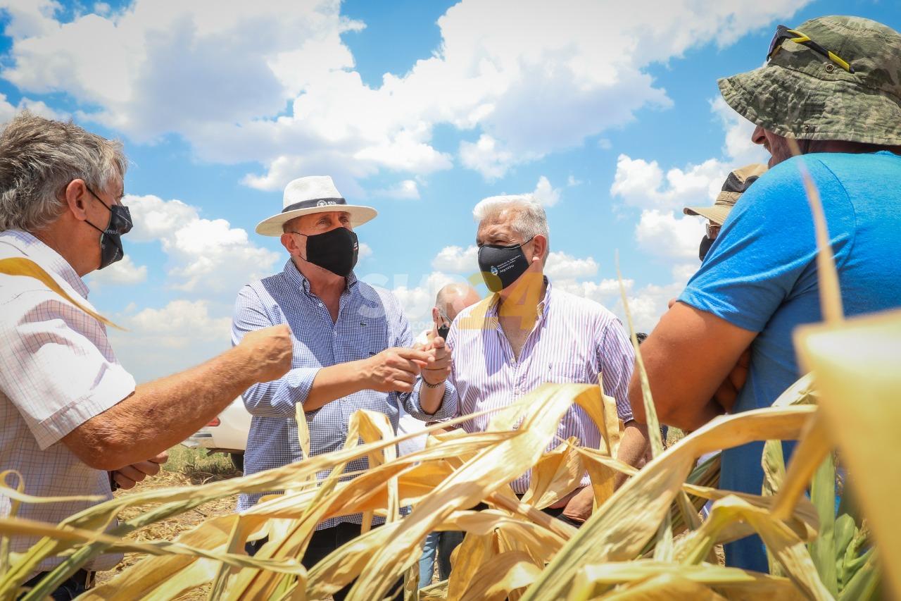 El gobernador Perotti y el ministro Domínguez recorrieron zonas agrícolas de la provincia afectadas por la sequía