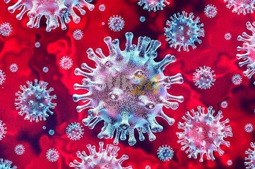 Coronavirus: la variante Ómicron ya domina el mundo