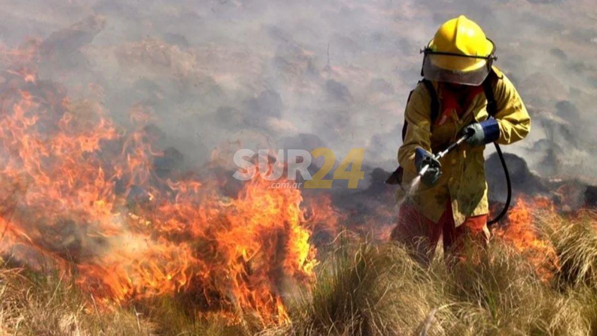 Desastre ambiental en Corrientes: más de 600 mil hectáreas quemadas