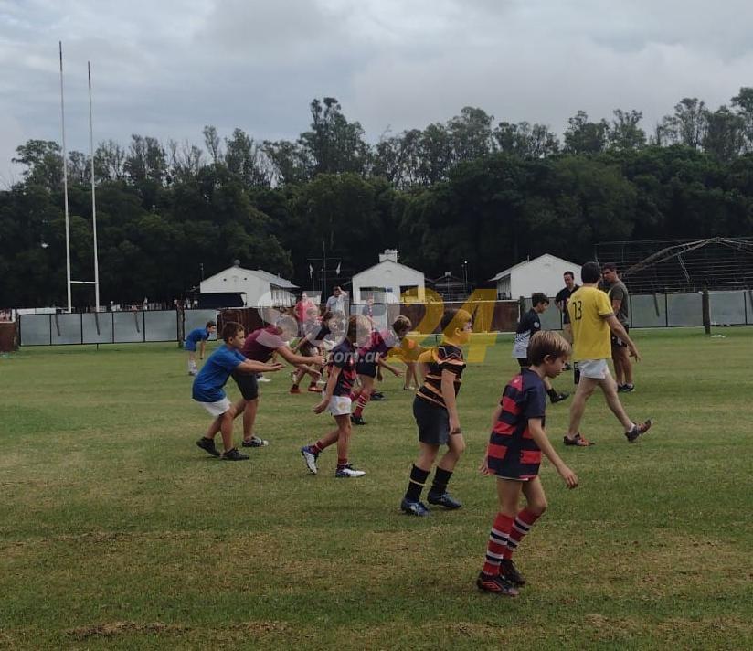 Comenzaron los entrenamientos de rugby infantil