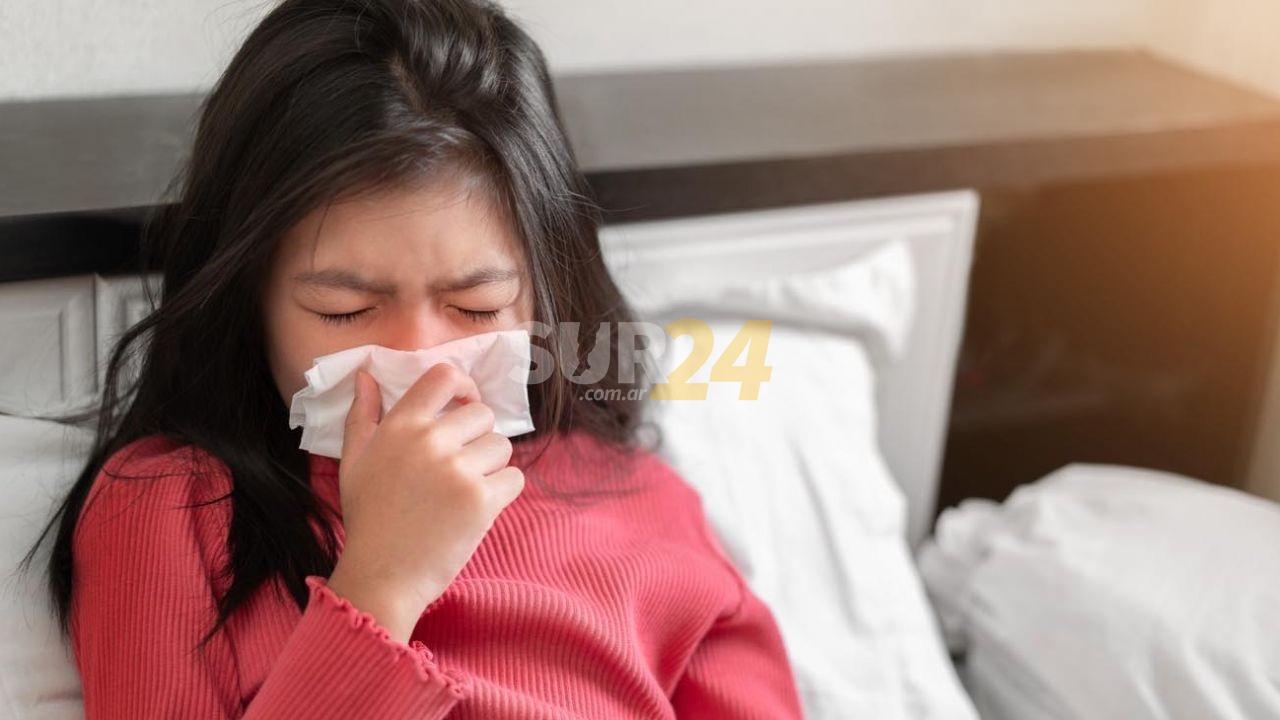 Detectan casos de Gripe A en cinco localidades santafesinas