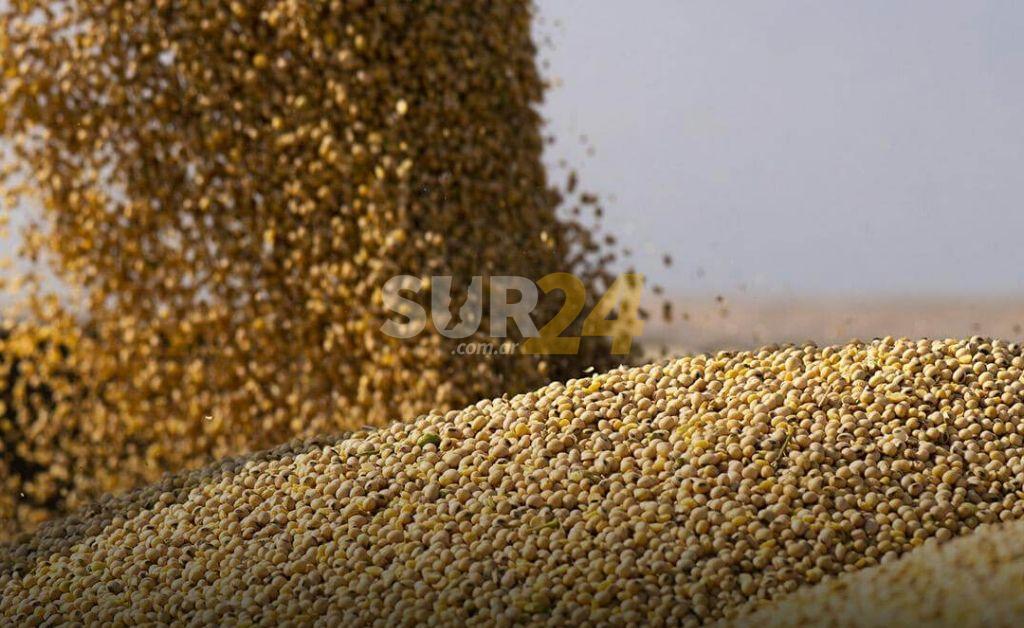 Reabren las exportaciones de harina y aceite de soja