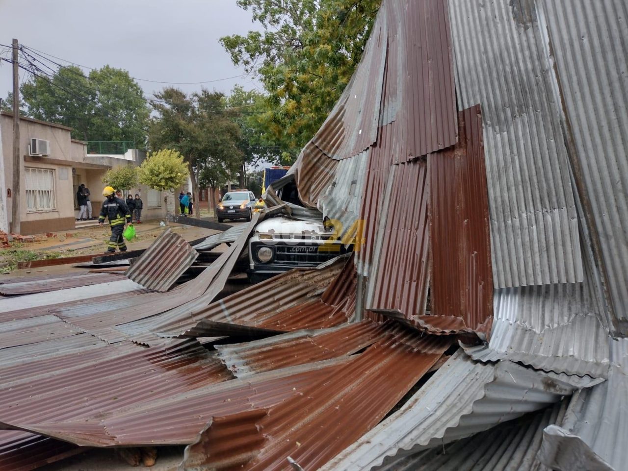 Temporal en Venado: reportan 16 árboles enteros caídos y destrozos por los fuertes vientos