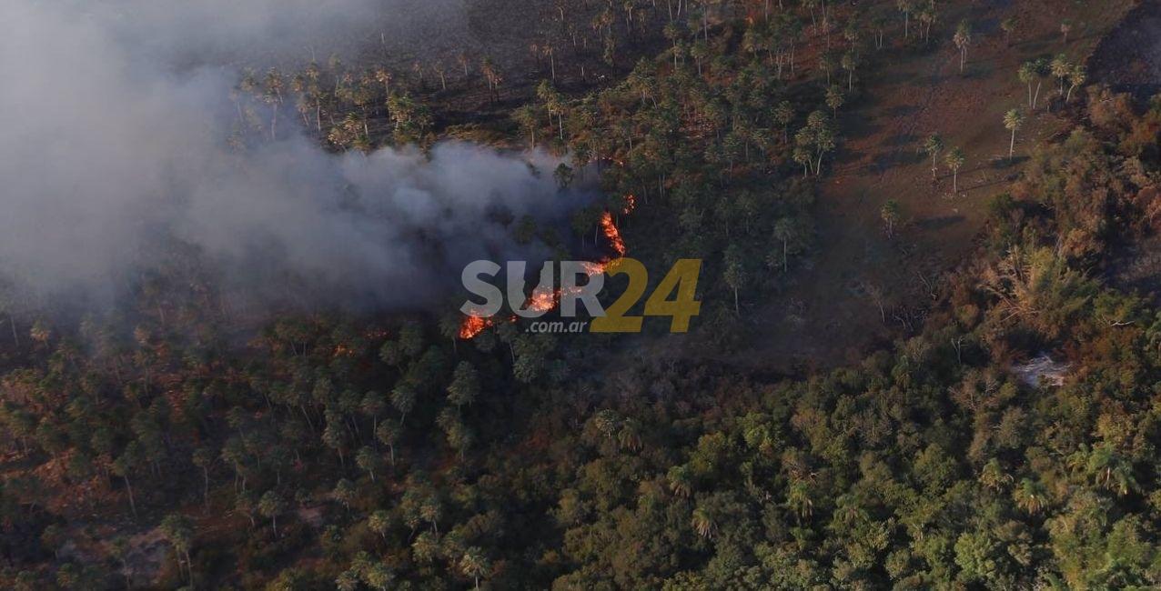 Se quemaron más de un millón de hectáreas en Corrientes