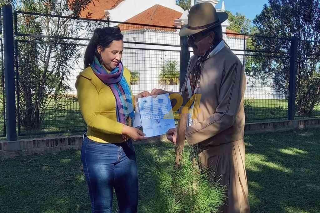Plantaron en Yapeyú un nieto del Pino Histórico de San Lorenzo