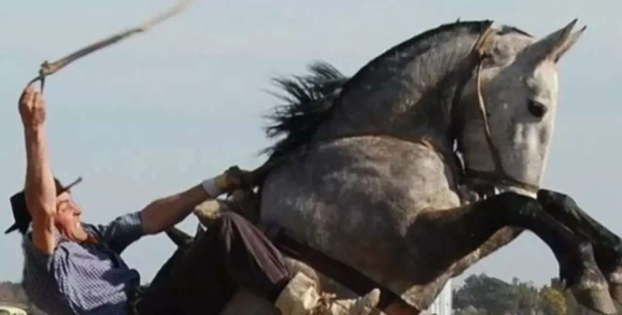 Un jinete grave tras ser caer del caballo en Corrientes 