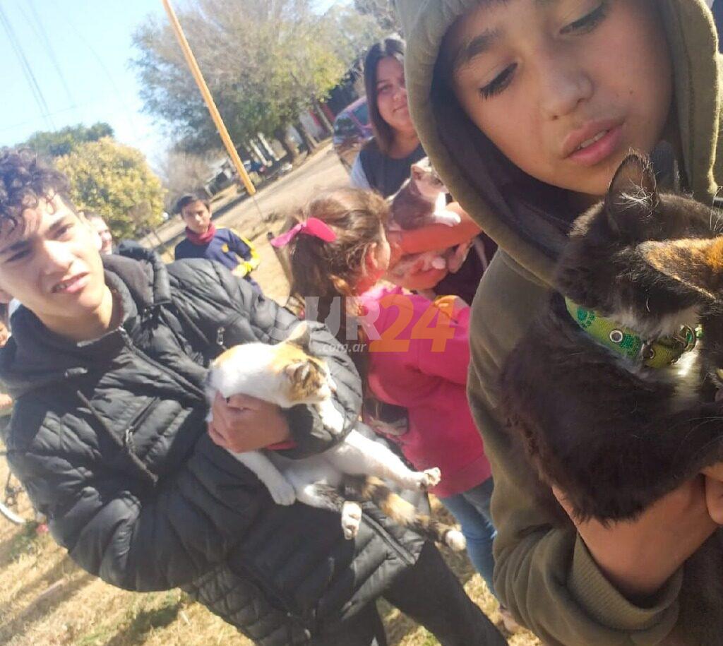 El gobierno municipal vacunó mascotas gratuitamente en los barrios Tiro Federal y Victoria 