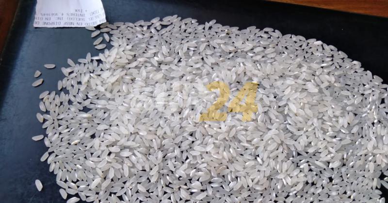 Nuevo arroz santafesino rinde un 50% más