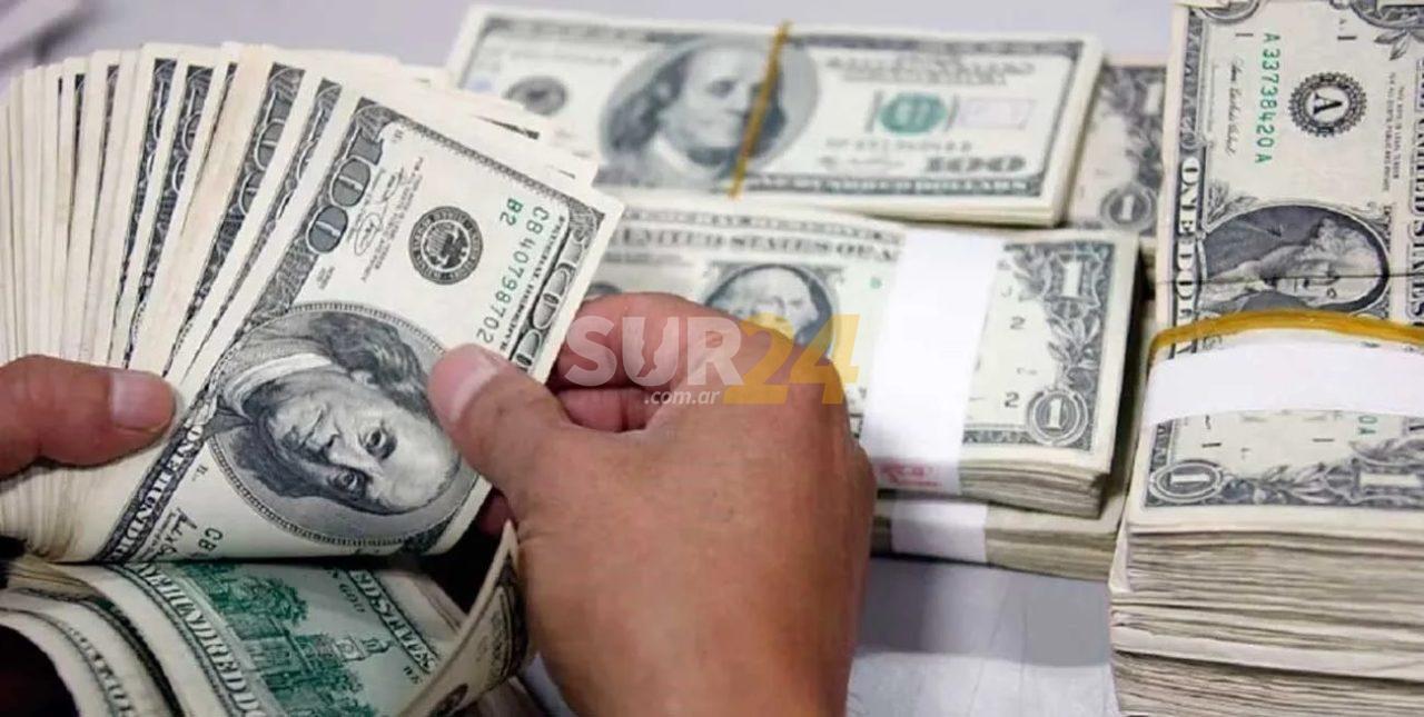 “Arbolitos cambiarios”: economistas advierten que intentar cerrarlos aumentará el valor del dólar