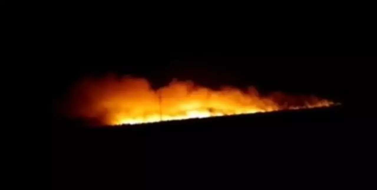 Video: incendio de gran magnitud a la vera de la Autopista Santa Fe – Rosario 