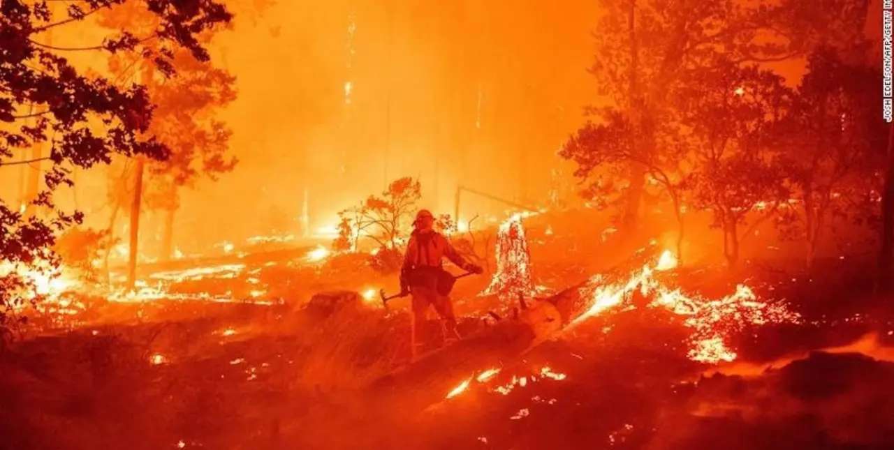 Incendio en California: los bomberos combaten llamas de hasta 30 metros de altura 