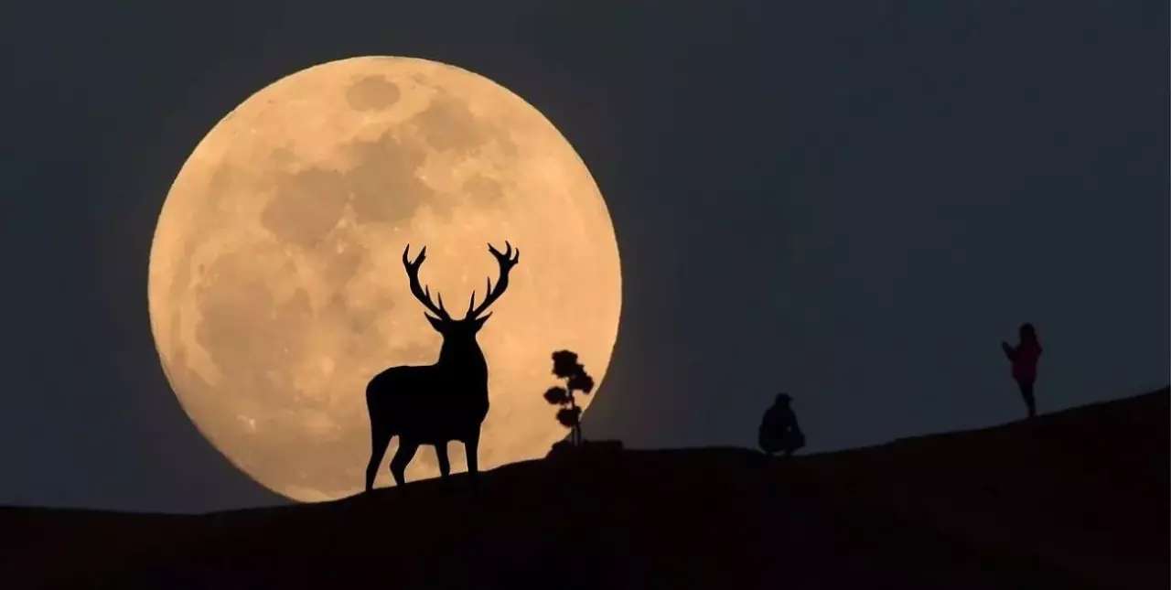 Superluna de ciervo: qué es y cuando se puede ver en Argentina 