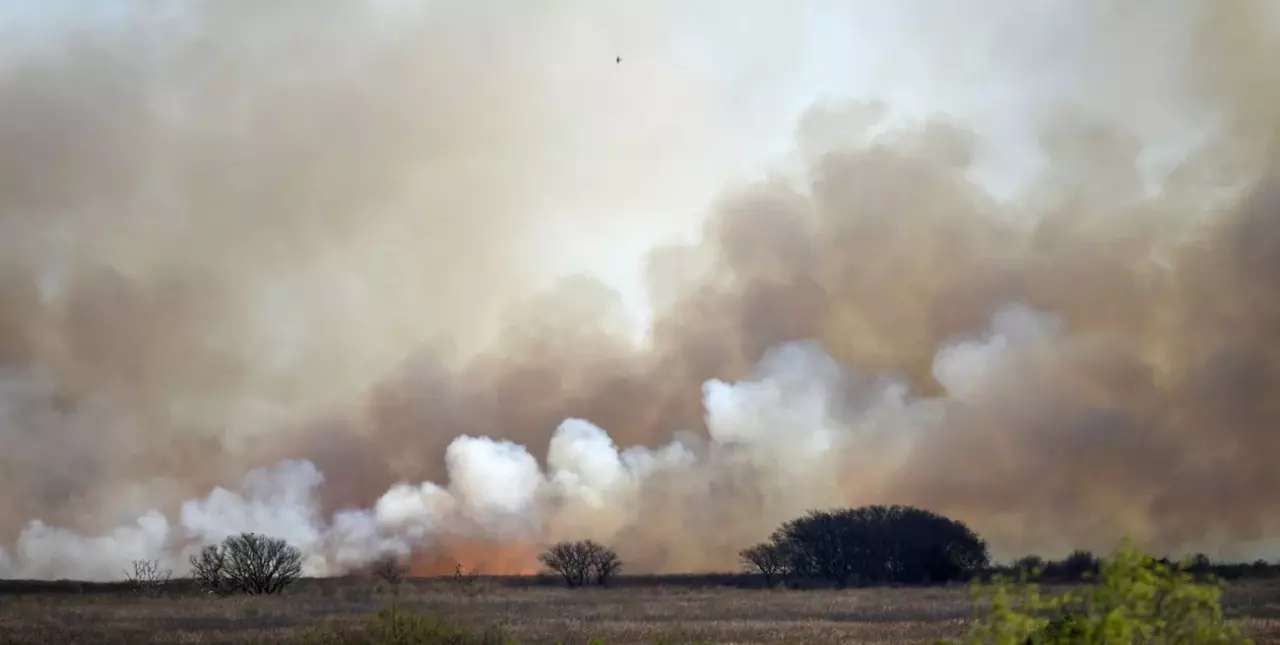 Alberto Fernández se mostró molesto por los incendios en el Delta del Paraná 