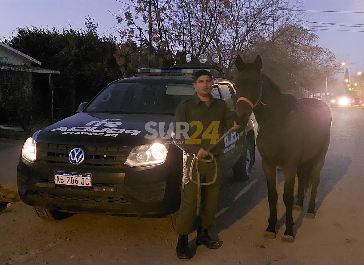 Los Pumas recuperaron elementos de equitación robados a la Asociación Civil venadense “Sembrando Valores”