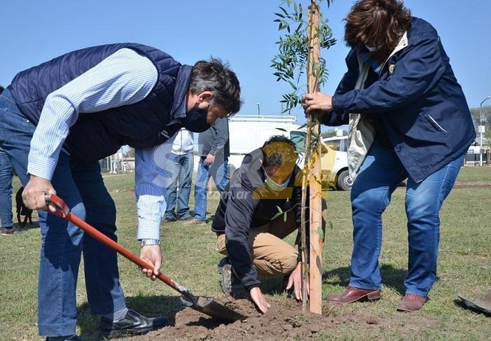 Empresa local donó 40 árboles que serán colocados en la plaza Juan Pablo II