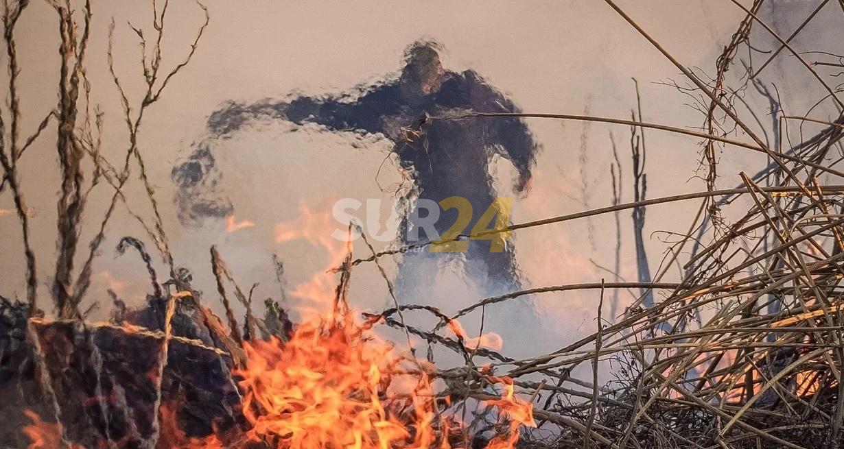 Fuego en las islas: Entre Ríos aún no facilitó su catastro a la fiscalía