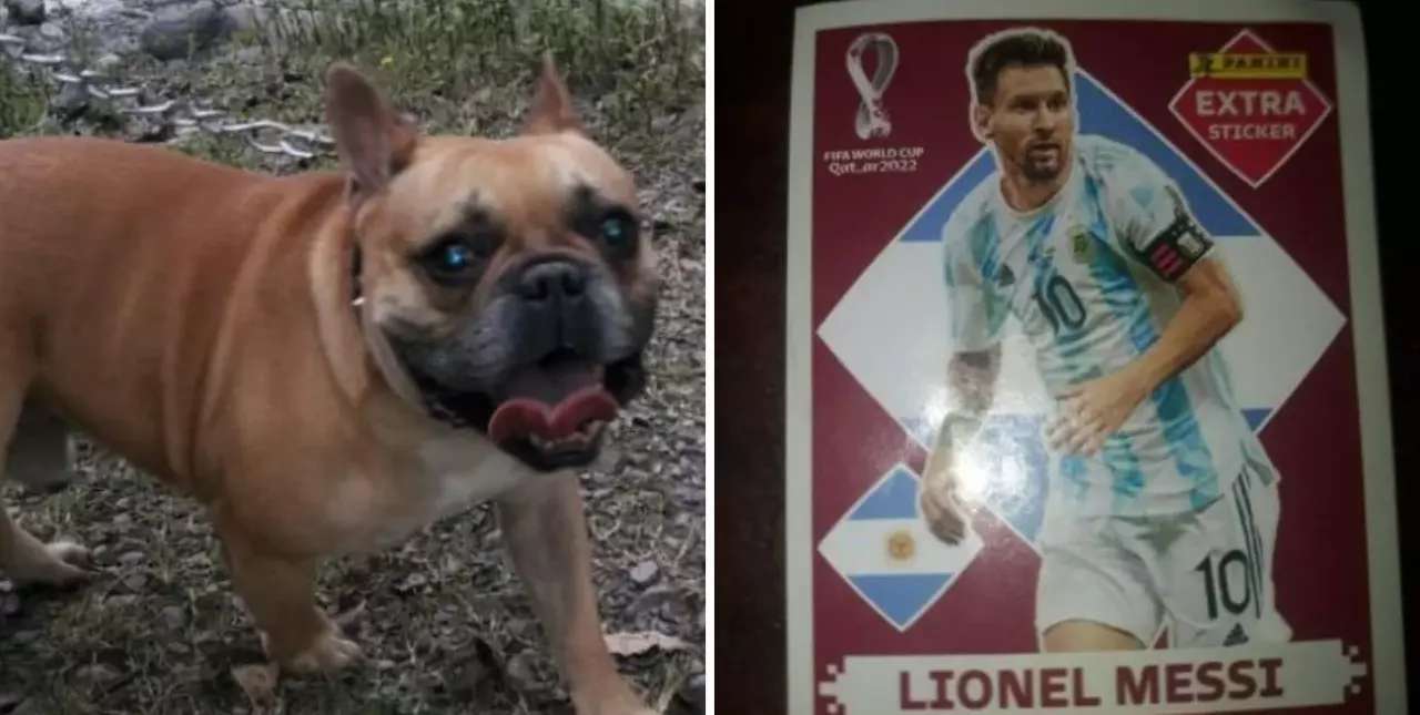 Un nene de 7 años ofrece la figurita especial de Lionel Messi para recuperar un perro robado