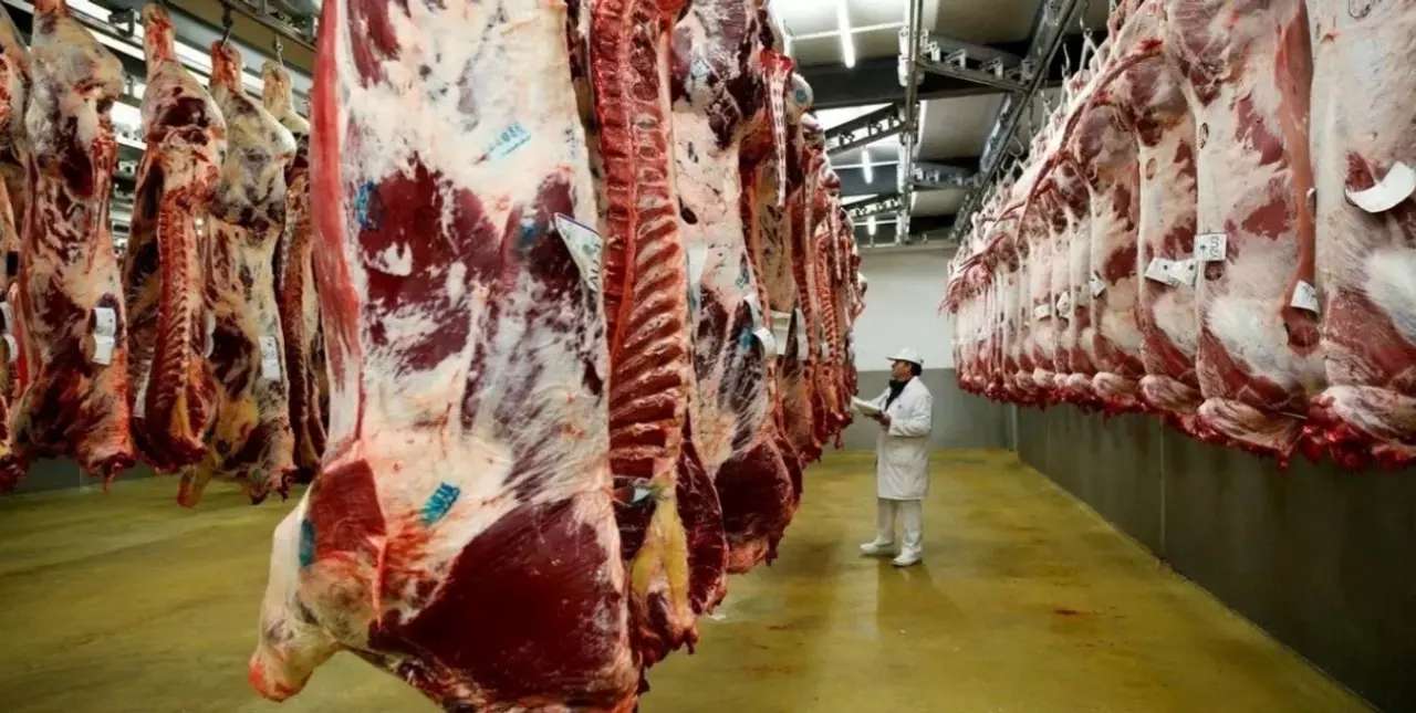La carne no se venderá más por media res y a partir de noviembre será por troceo 