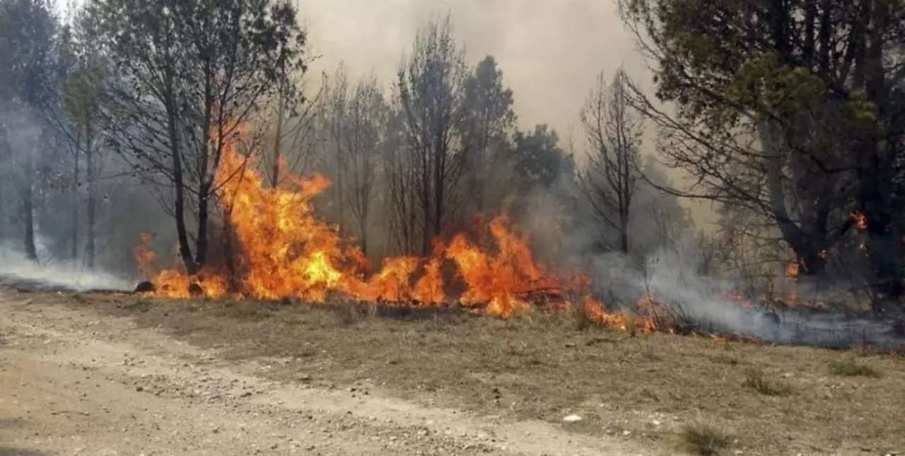 Incendio forestal en las sierras del Valle de Punilla en Córdoba