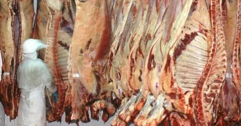 Menores exportaciones de carne por el “enfriamiento” chino