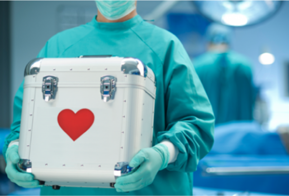 Ley Justina, la norma que revolucionó los trasplantes de órganos en el país