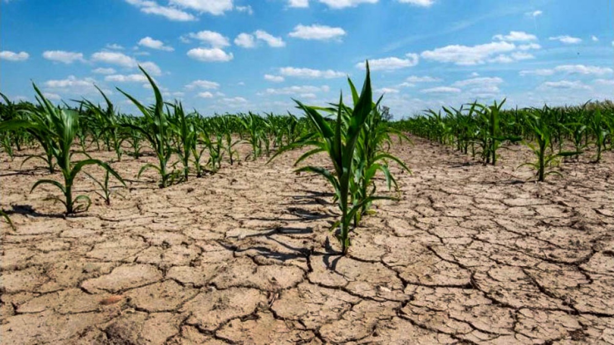El sur de Santa Fe está entre las zonas de afectación severa por la sequía extrema 