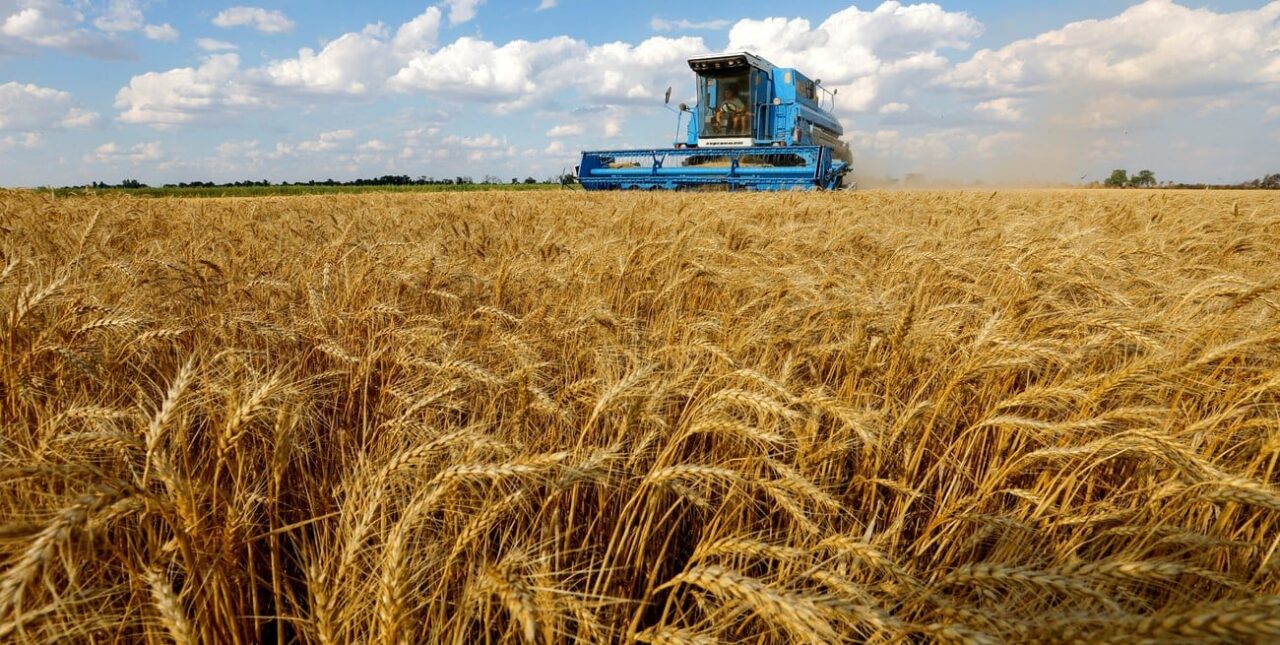Ucrania y Rusia renovaron el acuerdo Granos del Mar Negro para exportar cereales y fertilizantes