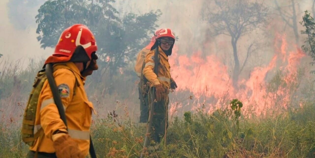 Jujuy, Córdoba, Catamarca y La Rioja registran incendios forestales