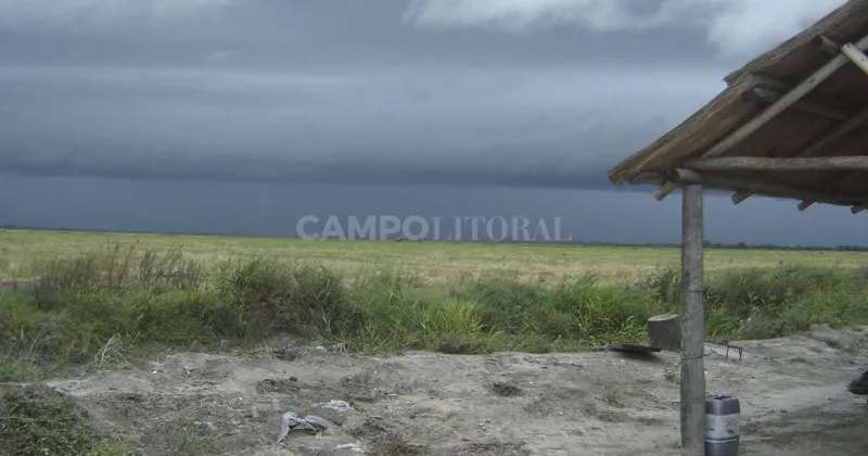 El 75 % de la región pampeana no recibió las lluvias suficientes