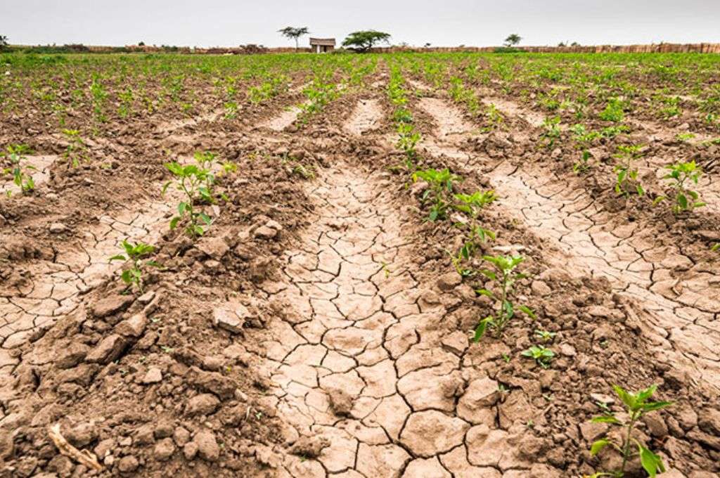 El campo pide que se declare “emergencia y desastre” por la sequía