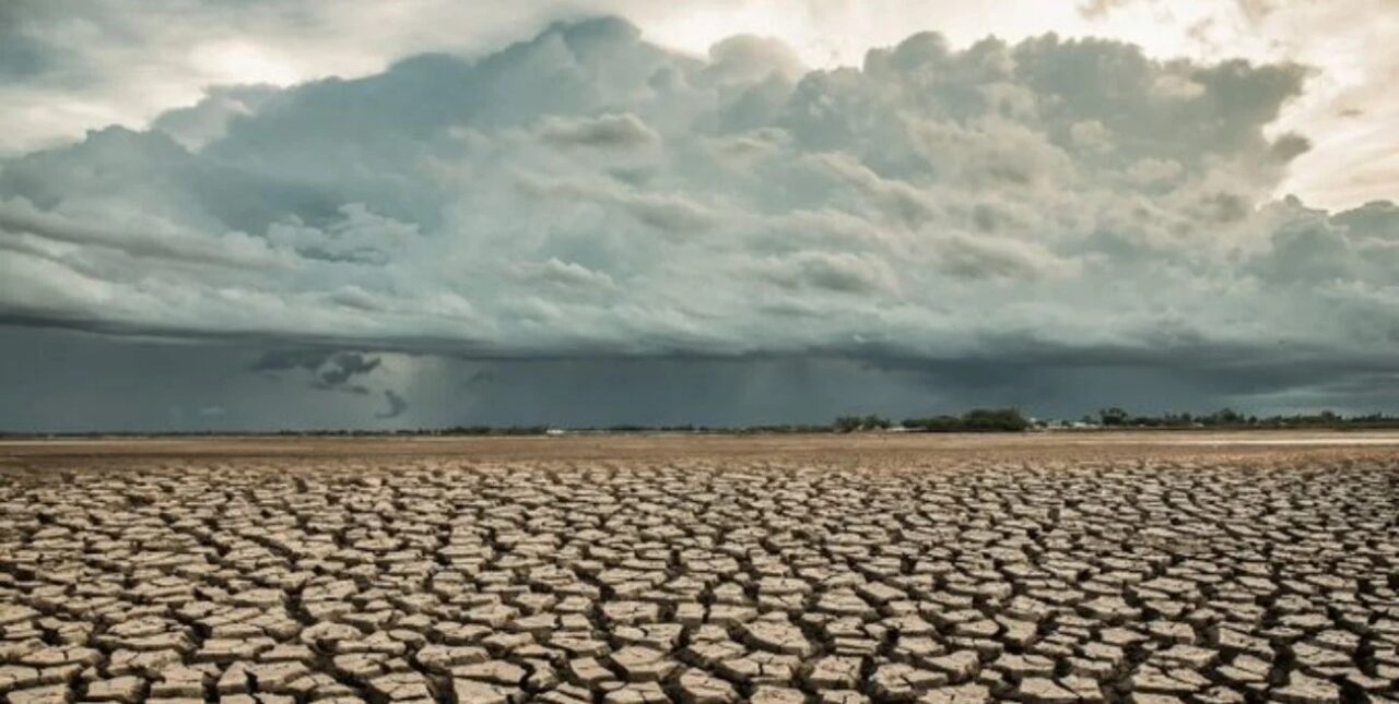 Olas de calor tempranas y temperaturas récord: las consecuencias del cambio climático en Argentina