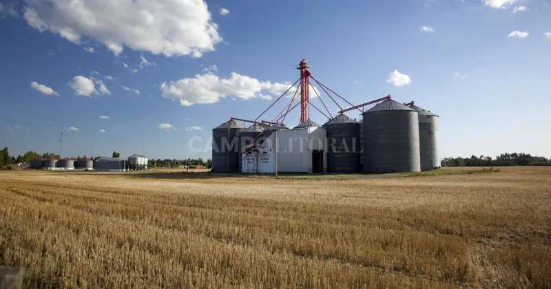 Sequía golpea a las cooperativas: baja operatoria de acopio de cereales