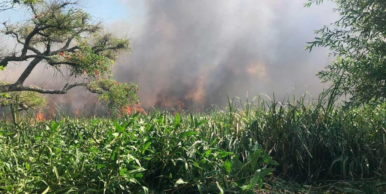 Alerta por un incendio de magnitud que afecta a la Reserva Natural de Punta Lara
