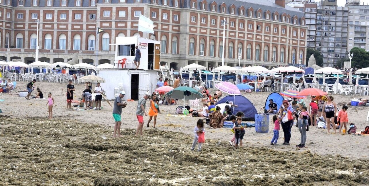 En imágenes: invasión de algas y huevos en las playas de Mar del Plata