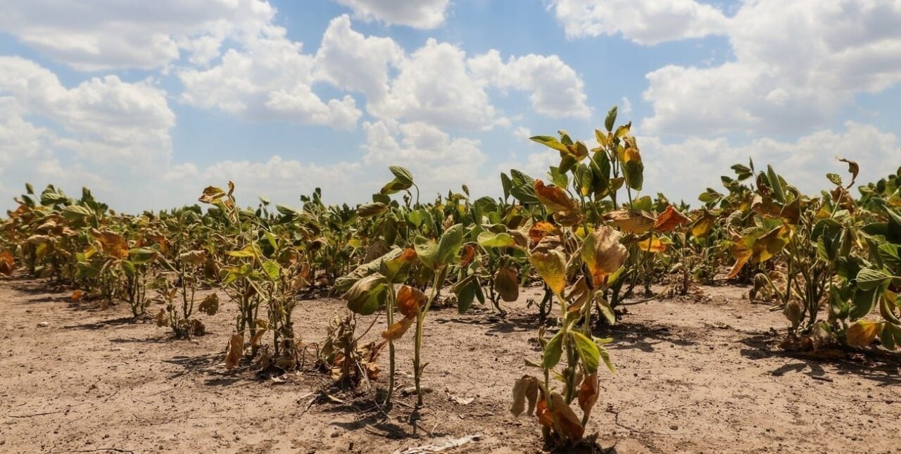 Federación Agraria pidió una audiencia urgente con funcionarios nacionales por la sequía extrema