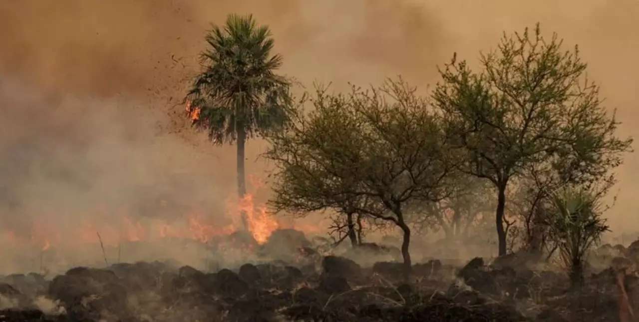 Corrientes: preocupación por la presencia de al menos diez focos de incendios activos 